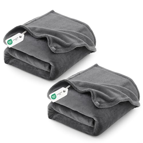 CozyLux Kuscheldecke Flauschig 2er Set Decke 150x200-2 Stücke Set Flanell Kuscheldecke 150x200, Weiche Sofa Decke, Warme Fleecedecke Wohndecke, Leicht Sofa Überwurf, XL Blanket 150x200 cm, Grau