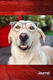 journal - yellow lab dog cover design 120 lined pages 6 inches x 9 inches great affordable paperback notebook gift for dog lovers, dog moms, dog dads, birthday present for kids teens and adults