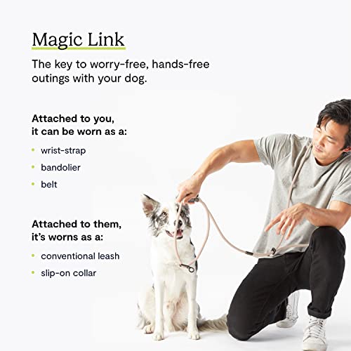 Fable Magic Link Dog Leash - Slip-On Collar & Waist Leash For Dog Walking - Hands Free Leash For Large Dogs & Small - Running & Hiking Dog Leash - Waterproof Dog Walking Leash - Blush - Xs/S #TOP1