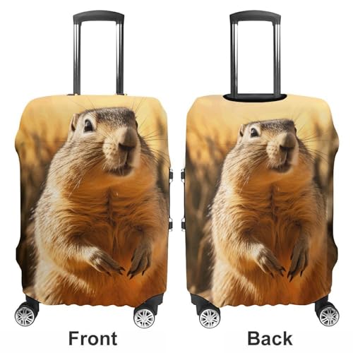 Hand Drawn Groundhog Luggage Covers Tsa Approved Suitcase Cover Elastic Washable Luggage Sleeve Carry on Cover Protector Anti-Scratch Suitcase Protector Fits 19-30 Inch Case(L)3