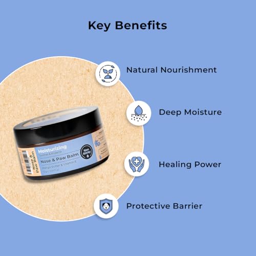 Image of Sensitive Skin Care Combo for Dog - Gentle Cleaning Shampoo + De-Shedding Conditioner + Paw & Nose Balm - Complete Grooming Kit for Dogs