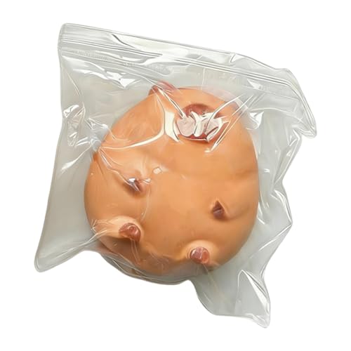Juguetes de pellizcar para | Forma de Capybara con Un Lento - Juguetes Sensoriales Antiestrés para Prensar | Para Chicos, Chicas, Mujeres,