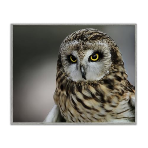 Fierce Hunting Owl Modern Bokeh, 16 x 20 Inch Framed Giclée Print
