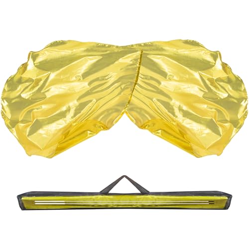 Baisdan 54"x54" Worship Flags for Dance Church, 2 Pack Praise Dance Flag Set, Beginner-Friendly Praise Flags With Flexible Rods & Carrying Bag, Gold