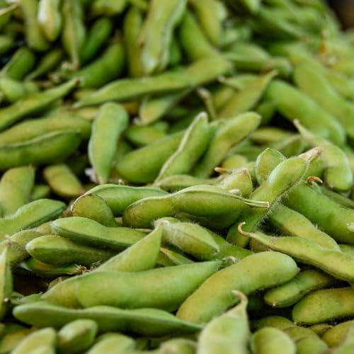 semillas de frijol edamame de jardín perennes resistentes semillas edamame verdes interior camas elevadas para jardín trepadoras resistentes invierno, 150pcs