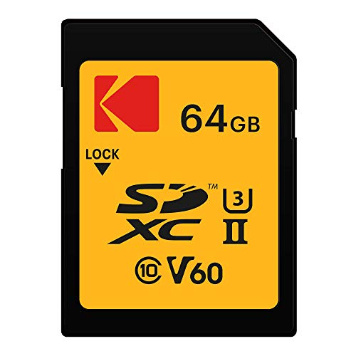 Panasonic Lumix Fz2500 4K Point And Shoot Camera With 64Gb Ush-Ii V60 Sd Card And Koah Roebling Gadget Bag With Accessory Bundle (3 Items) #TOP4