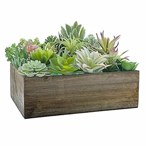 CYS EXCEL Wood Square Planter Box with Removable Zinc Metal Liner H4 Open12x12 Multiple Size Choices Wooden Planters Indoor Decorative Flower Box