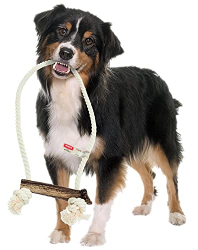 4DOGS Indestructible Dog Rope Toy for Dog Teeth Cleaning Combined with Natural Dog Chew Antler, This is 100% Natural Gluten Free, GMO Free Dog Toys - 1 Piece Hook Easily Chewable- XL
