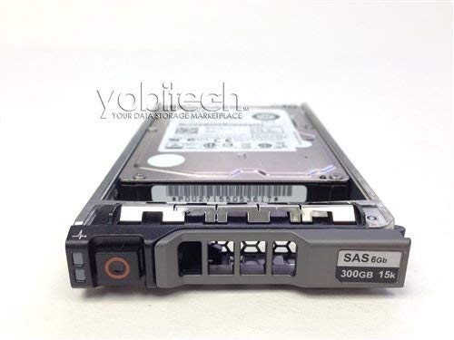 Amazon.com: DELL 9SW066-150 - 300GB 15K SAS 6G 2.5IN SFF HDD W/ R