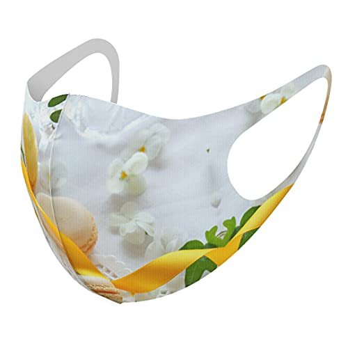 [igsticker] fUC }XN QZbg |GXe 􂦂 z}XN XLTCY 傫 jp 002617 ʐ^Ei t[ }J  F