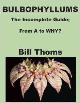 Bulbophyllums; the Incomplete Guide, From A to WHY?