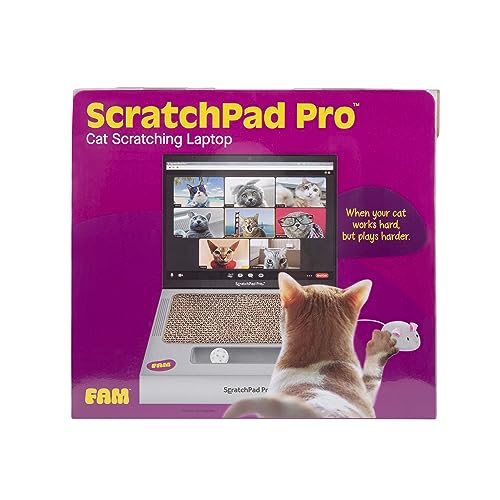 WHAT DO YOU MEME? Paws & Relax Pet Massager by WHAT DO YOU MEME? - Used condition - Image 4