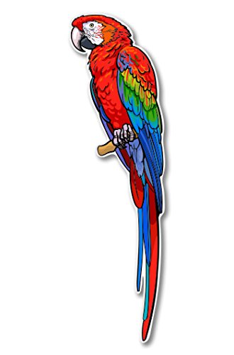 Red Macaw Beautiful Tropical Bird Sticker, 3 in | For Water Bottle, Tumbler, Car, Laptop, Phone, Waterproof Vinyl Decal
