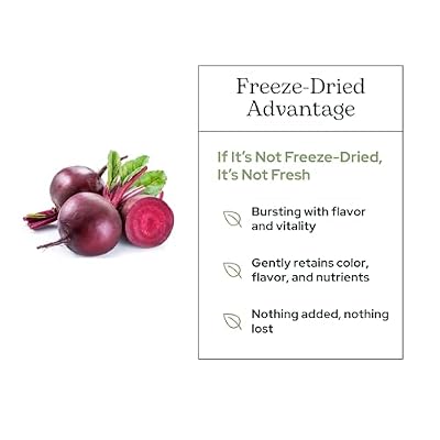 Eclectic Herb - Organic Beet Juice Powder | Stamina & Endurance | Cardiovascular Health, Circulation & Blood Pressure Support | Natural, Vegan, Non-GMO (6 oz | 170 g)