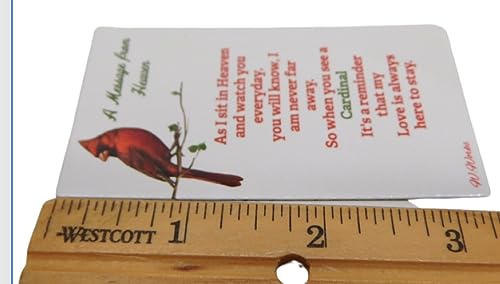 Imán decorativo Cardinal para refrigerador, set de 10 miniatura 3