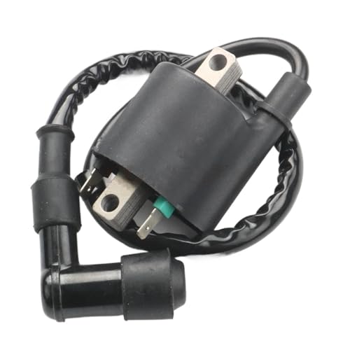Bobina de encendido para motocicletas y scooters PCX y WW 4