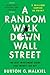 A Random Walk Down Wall Street: The Best Investment Guide That Money Can Buy