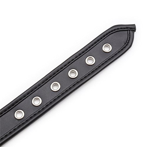 Rapidly Leder Halsband Mit Ring Der O - Erwachsene Sex Spielzeug BDSM Punk Choker - Einstellbar (Schwarz)