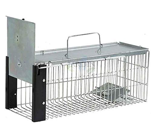 Suinga Trampa para Animales Vivos Reutilizable 41x16x17 cm – Jaula Galvanizada Profesional para Conejos, Gatos, Ratas y Roedores