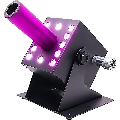 Mini Máquinas de Niebla 250W, Máquina de Humo LED Profesional para DJ con Pantalla Digital,...