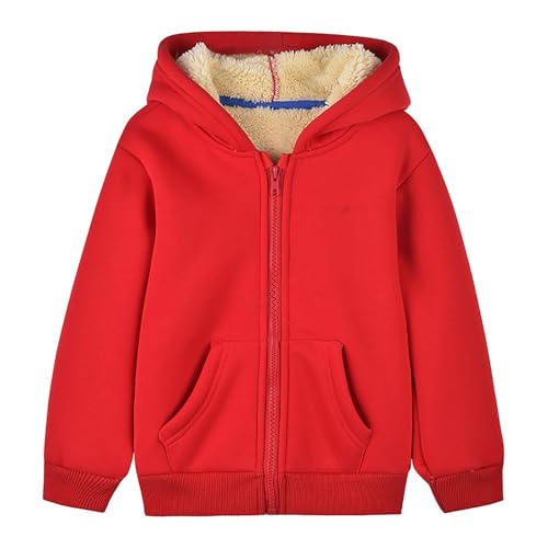 Toddler Hoodie Fleece Sweatshirt Coat Kids Boys Fall Winter Warm Sweater Jacket Solid Hooded Pullover Top Outwear