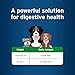 Pet Protect Digestive Health Supplement with Probiotics for Dogs, Vet-Formulated Lactoquil, Chicken-Flavored Soft Chews (60 Count)