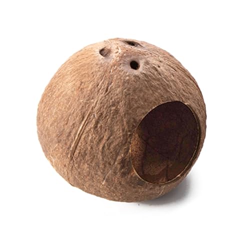 nX^[nEXNC~O_[RRibcBƃlXg̐n̏K[rYS[fxAȃybgnX^[nEXB