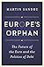 Produktbild Europe's Orphan: The Future of the Euro and the Politics of Debt