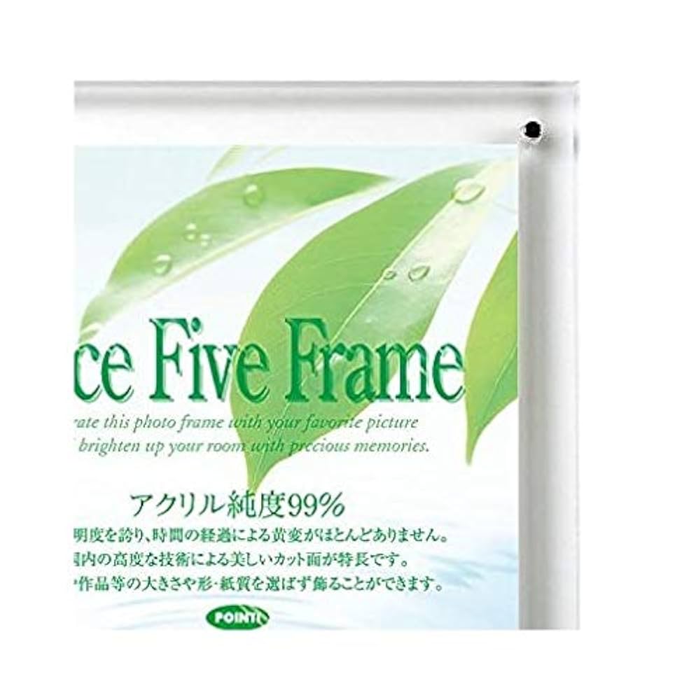 2点セット　Face Five Frame A3 ポスターフレーム　アクリル APJ】フェイスファイブフレーム＜クリア＞の通販|フォト