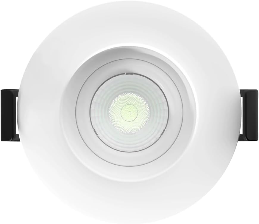 RAB Lighting - G2,3,4, GF4, GR2,3,4 Inch Gimbal LED Downlights - 30 Tilt & 360 Rotation - Ideal for Accent & Directional Lighting - Off-Board Drivers- Wet Location Rated - Dimmable & IC-Rated (G2)