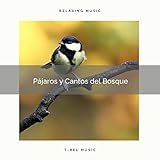  Aves Exóticos del Busque para Controlar Ansiedad