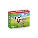 Schleich Farm World - Starter Set, Includes 4 x Collectible Toy Farm Animals, Cow, Sheep, Donkey Foal and Rooster Farm Animal Toys for Kids Ages 3+