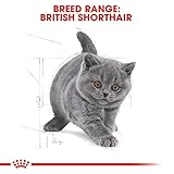 Royal Canin KITTEN British Shorthair Katzenfutter 2 kg - 2