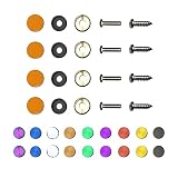 waybeyondframe Color: Orange - License Plate Screws Stainless Steel, Set of 4 Fasteners for Front or