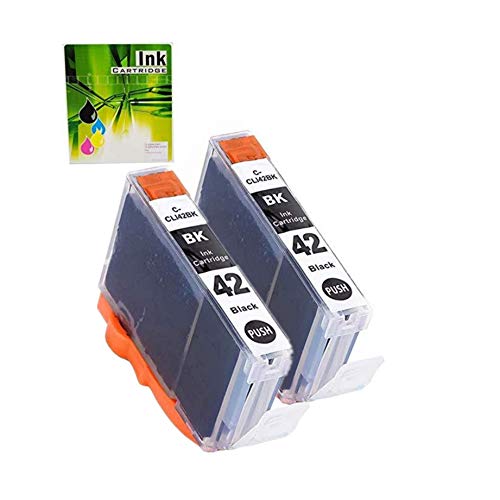 NEXTPAGE Compatible Canon CLI-42 Black Ink Cartridges Replacement for Canon CLI42 Black Ink Cartridge Use with Pixma Pro-100 Pro 100 Pro-100S Printer, CLI42 BK 2 Pack