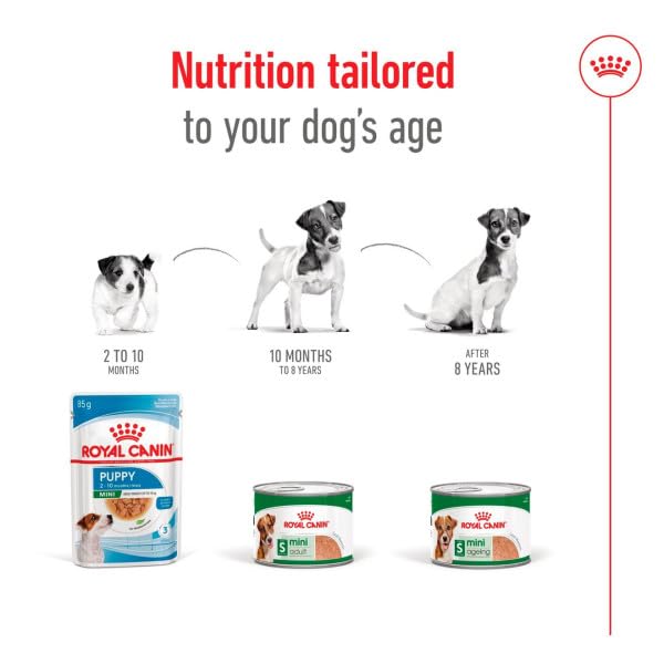 Royal Canin Mini Adult Ageing 12+ | 12 x 195 g | Alimento umido per cani anziani di piccola taglia (da 1 a 10 kg) | A partire da 12 anni di età | Contenuto energetico adattato