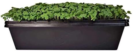 Miniatura 3 de Bandeja de semillas 1010  Extra fuerte con agujeros, paquete de 10, iniciador de plántulas de 10 x 10 pulgadas para microverdes, pasto de trigo,