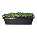 Bootstrap Farmer 1010 Trays 10 Pack Extra Strength w/Holes Seed Starting Microgreens