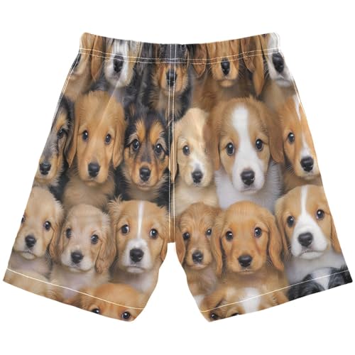 Boys Beach Board Shorts Cute Dog Real Swim Trunk Teen Swimwear 8-16Y Multicolor2