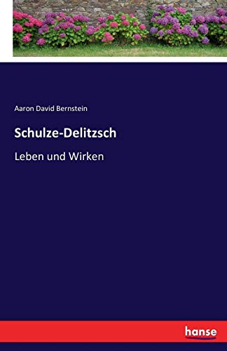 Schulze-Delitzsch: Leben und Wirken [German] 3741193038 Book Cover