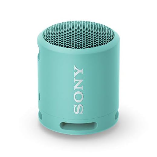 15 Secret Santa Gifts Ideas For Your Friends 9 Sony SRS-XB13 Extra BASS Wireless Portable Compact Speaker IP67 Waterproof Bluetooth, Powder Blue (SRSXB13/LI) (Amazon Exclusive)