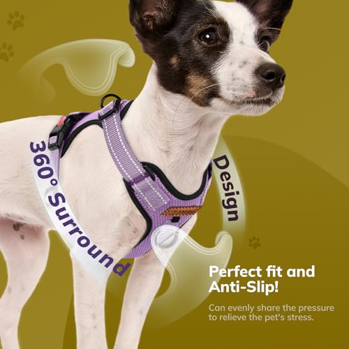 FAYOGOO Hundegeschirr, Kein Choke Front Clip Hund Reflektierendes Geschirr, No-Pull Verstellbare Weiche Gepolsterte Haustier Weste Set für kleine Mittlere Große Hunde Gehen (Lila, M)