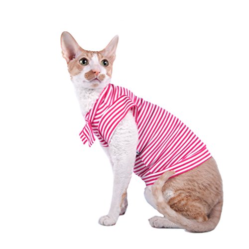 Vêtement pour chat extensible col roulé fuchsia isolant et souple - 2