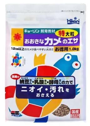 yL[z狳 ȃJ̃GTi嗱jp 1