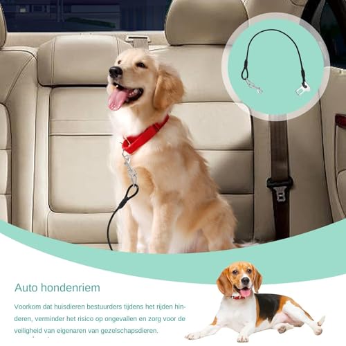 Hundegurtgeschirr für Auto, Hundeautogurtbefestigung - Beschichteter Draht Hund Autositz Gurtclip Gurt - Starker Welpe Autogurt mit robustem Karabiner für kleine Hunde
