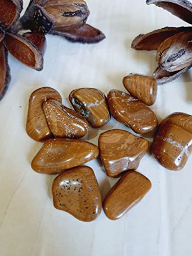 Kit de Pedra Natural Variadas 200gr
