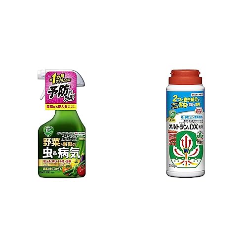 yZbgzZFw| EEۍ xjJxWtVXv[ 420ml & E IgDX 200g