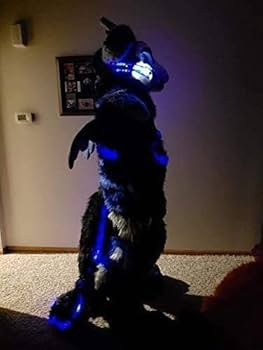 ケモノ 着ぐるみ フルスーツ アトラク 犬科 Yahoo!オークション - 1円スタート ケモノ 着ぐるみ フルスーツ