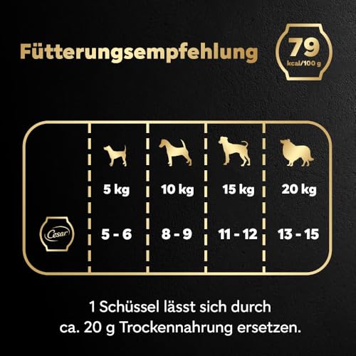 Cesar Schale mit Huhn, Karotte und Bohnen in Soße 2 x 5 x 85 g
