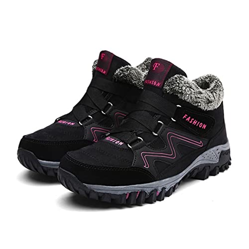 [_LV] Y Xm[u[c fB[X V[gu[c h h ubN  y ~u[c N 26.0cm  V[gu[c {At ~ AEghA ӂӂ H~ ᔽ [gu[c Xm[V[Y NC~O